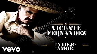 Vicente Fernández  Un Viejo Amor LetraLyrics [upl. by Leavelle]