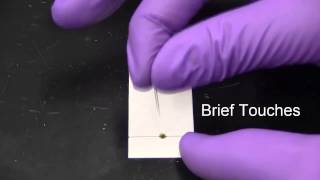 Thin Layer Chromatography [upl. by Tremaine]