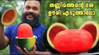 തണ്ണിമത്തന്റെ ദശ ഊരി എടുത്താലോ  How to cut and skin a watermelon  MALAYALAM [upl. by Aliahs159]