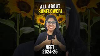 Sunflower Morphology Of Flowering Plants biology neet [upl. by Lassiter]