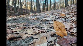 4 min Mindful Walk Galancing November 2024 [upl. by Horatius948]