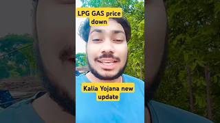 LPG price down gas rate kamila Kalia Yojana new update pmkisanyojana odisha lpg [upl. by Llezom603]