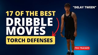 17 BEST BASKETBALL DRIBBLING MOVES EXPLAINED Get by your defender [upl. by Andryc]