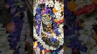 Shiv puja status shiv aarti\\shorts mahadev shivling puja video [upl. by Zilvia319]