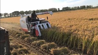 Kubota ER572 combine harvester II Half feed combine harvester [upl. by Enelad]