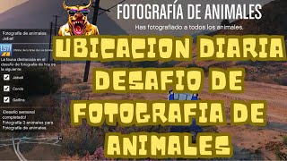 🐖🐗🐓UBICACION DIARIA DE LAS 3 FOTOGRAFIAS DE LOS ANIMALES🐖🐗🐓 [upl. by Akeinahs]