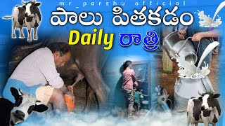 రోజు రాత్రి పాలు పిండడం 🐃🥛palu pindadam🐃🌿villagemilkvideotrendingvideoyoutubevideoviralvideo [upl. by Gibby]