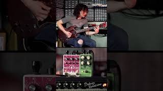 Corey Haren’s got smooth riffage with the Astral Destiny reverb and Westwood overdrive 🤘 [upl. by Fishback397]