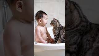 Cat and child take a bath together [upl. by Ajidahk]