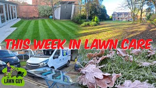 THIS WEEK IN LAWN CARE E40 [upl. by Hutchinson]