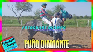 PUÑO DIAMANTE  Laguna Naineck  Formosa 14082022 [upl. by Diva754]