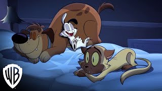 Bunnicula  Season 1 Part 1  quotHungryquot Clip  Warner Bros Entertainment [upl. by Mario793]