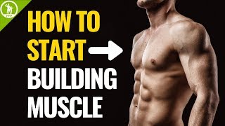 How To Start Building Muscle For Beginners [upl. by Cinimod]