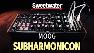 Moog Subharmonicon Analog Polyrhythmic Synth — Daniel Fisher [upl. by Ranitta]