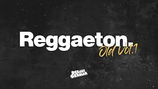 Reggaeton Old Vol1  Dj German Berazategui [upl. by Niletak]