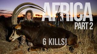 AFRICA Pt 2  Hunting Sable Impala Roan Wildebeest Oryx and Kudu [upl. by Acinoda]