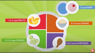 Nutrition Importance of the Five Food Groups [upl. by Weylin]