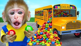 KiKi Monkey drives full of Mixing MampM Candy School Bus and ASMR rainbow fruit jellyKUDO ANIMAL KIKI [upl. by Ykroc539]