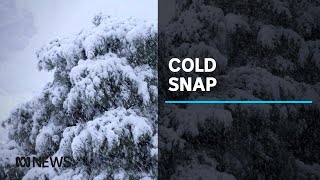 Parts of Tasmania have woken to a rare snowy surprise  ABC News [upl. by Dallman]