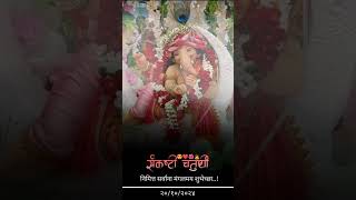 Sankashti Chaturthi Whatsapp Status 😍❤️🌺🙇  sankashtichaturthi status [upl. by Skricki694]