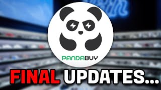 Pandabuys Situation Is Getting BETTER  Raids Are Over May Updates [upl. by Mathi924]