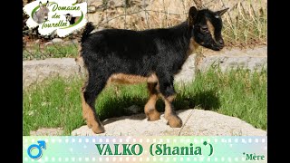 Diaporama de VALKO Shania  2024 [upl. by Rogergcam]