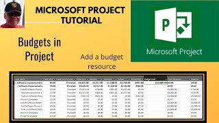 Use budgets in Microsoft Project Create a Budget resource [upl. by Annaerda]