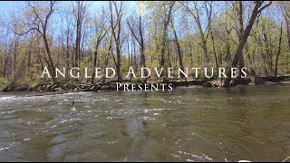 Fly Fishing the NJ Paulinskill River Apr 2022 [upl. by Ketti]