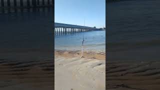 matanzas inlet fishing [upl. by Akcemat337]