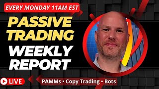 Passive Trading  Weekly Profits Report  November 20th 2023 [upl. by Hteazile]