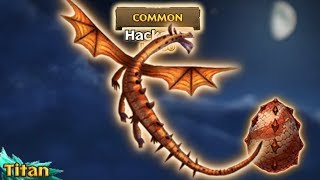 Hackatoo Max Level 150 Titan Mode  Dragons Rise of Berk [upl. by Enedan]