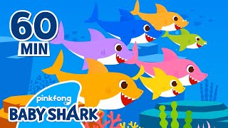 Baby Shark Doo Doo Doo 1 hour  Compilation  More and More  Baby Shark Official [upl. by Cutter]