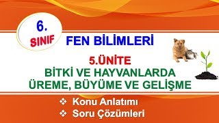 6Sınıf Fen Bilimleri 5Ünite Canlılarda Üreme Büyüme ve Gelişme [upl. by Hootman]