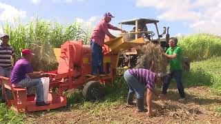 Celebran en LasTunas el Día del Trabajador Agropecuario [upl. by Lladnew800]