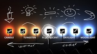 White Balance amp Kelvin Color temp explained 💡 [upl. by Ardnak586]