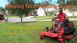 Cutting Grass  Mowing Thick Healthy Grass with Gravely Zero Turn Lawn Mower ZTR [upl. by Hills573]