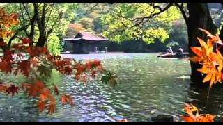 Spring summer fall winter  and spring Movie Trailer 2003 Drama [upl. by Sibell]