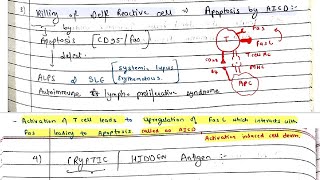 Immunological TOLERANCE  Pathology  Microbiology  Immunity [upl. by Fridlund373]