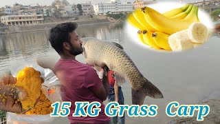 Carp Fishing Secrets How to Catch Big Grass Carp Rohu Fish Catch By Handline [upl. by Nosnev]