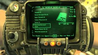 Fallout New Vegas  Beer Poker and Fallout 3 Easter Eggs  Rooster Teeth [upl. by Malita]