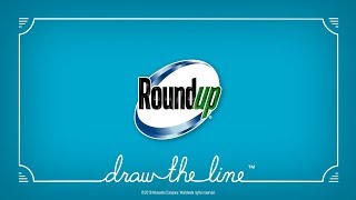 How to Use Roundup® For Northern Lawns Products Properly to Kill Weeds in Your Lawn [upl. by Atsylak578]