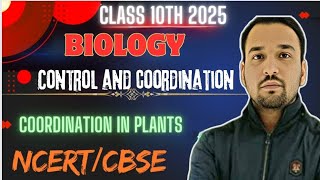 Control and Coordination  Coordination in plants  Class 10 Biology Chapter 6 [upl. by Hara]