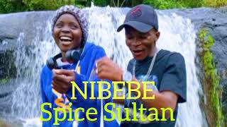 Spice SultanNIBEBEOfficial Audio [upl. by Caia]