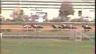 1991 Breeders Cup Classic [upl. by Gorski]