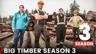 Big Timber Season 3  Renewed Or Cancelled [upl. by Eilra346]