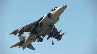 AMAZING HARRIER GR9 VERTICAL TAKEOFF  MSFS 2020 [upl. by Hannaj]