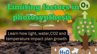 Limiting Factors in Photosynthesis Grade 9 Biology Lec8 [upl. by Neiluj]