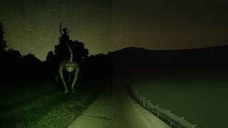 unsettling images turned into ai video pt 1 [upl. by Corny]