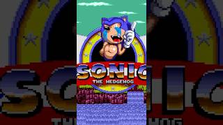 SONICNGS Creepy Sonic Exe Game EXE SonicExe Glitch Creepy SuperEXE Sonic SonicNGS Buff No [upl. by Onaicnop434]