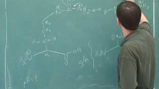 Organic chemistry Amino acids and peptides 8 [upl. by Elinor]